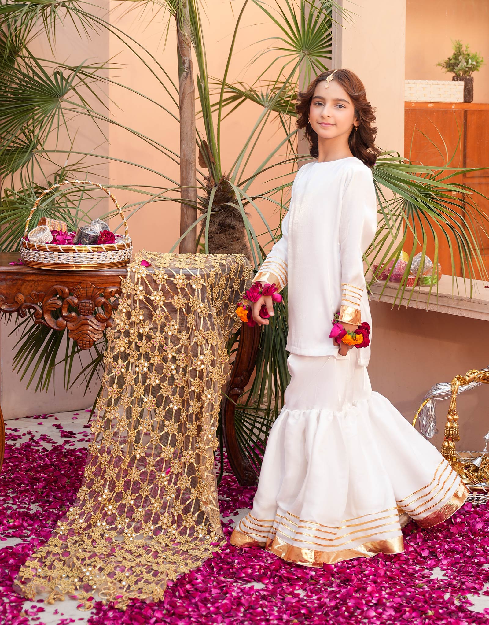 ZNSJ-30 MIRROR JAAL DUPATTA