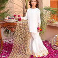 ZNSNBL-28 EMBLISHED SHIRT GHARARA WITH MIRROR JAAL DUPATTA