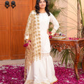 ZNSJ-30  MIRROR JAAL DUPATTA