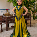 LEHENGA KURTI DOUBLE PANEL (ZNWR-60)