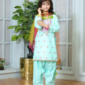 ZNSNA-11 EMBROIDERED COTTON 3 PCS