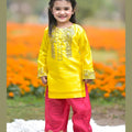 3 Piece Dress with Gota Work
