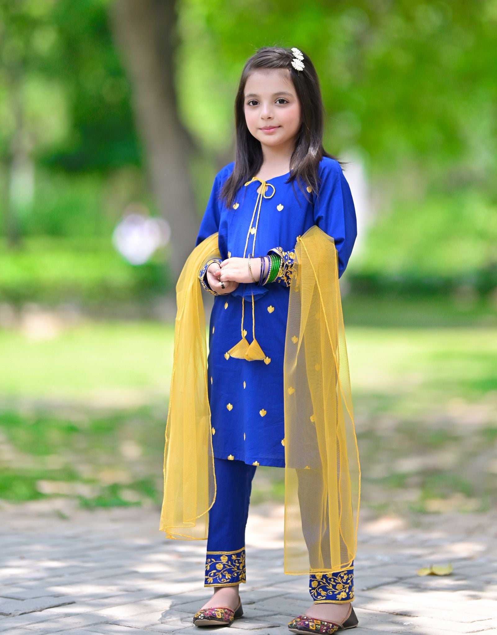 Embroidered Lawn 3 Piece