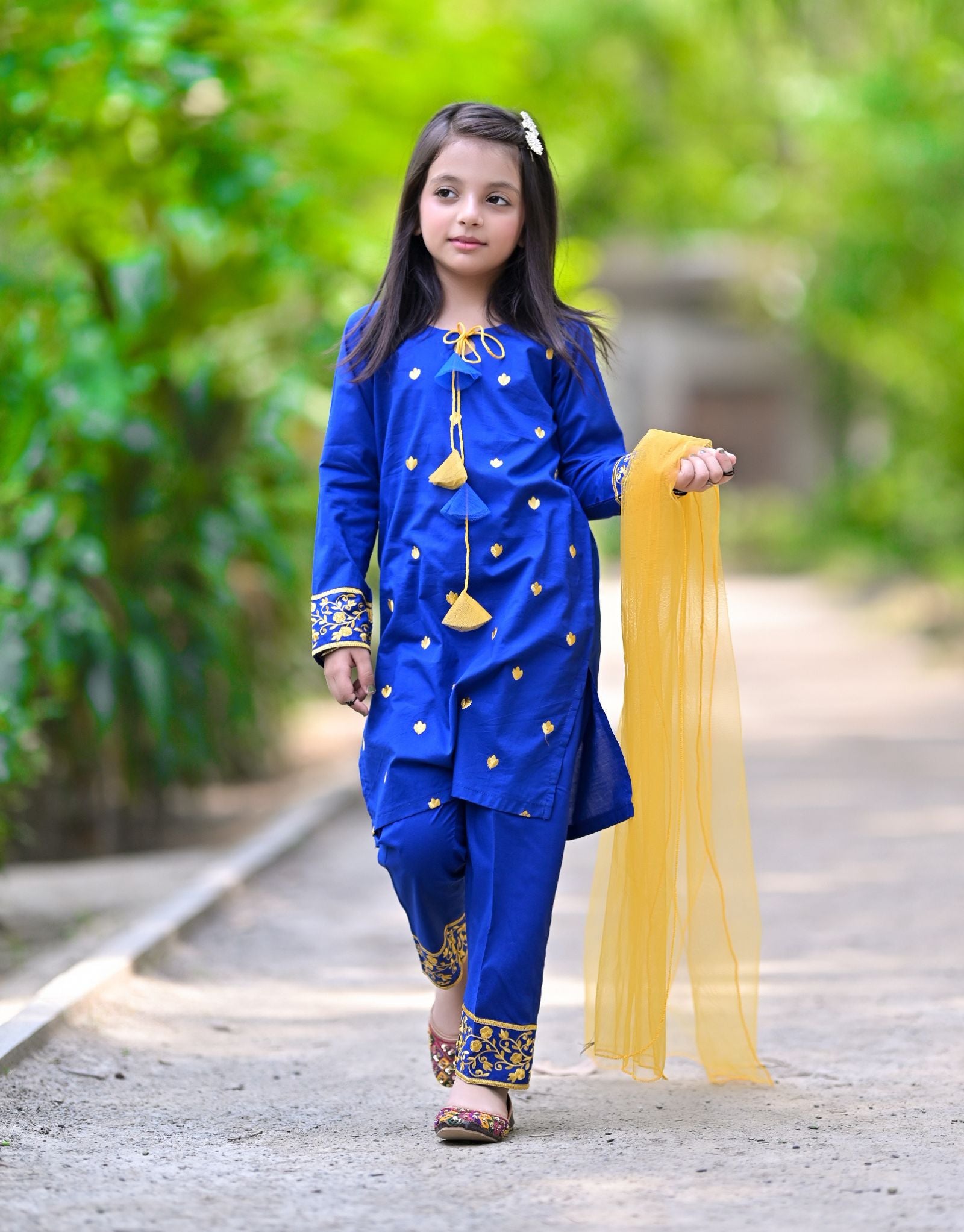 Embroidered Lawn 3 Piece