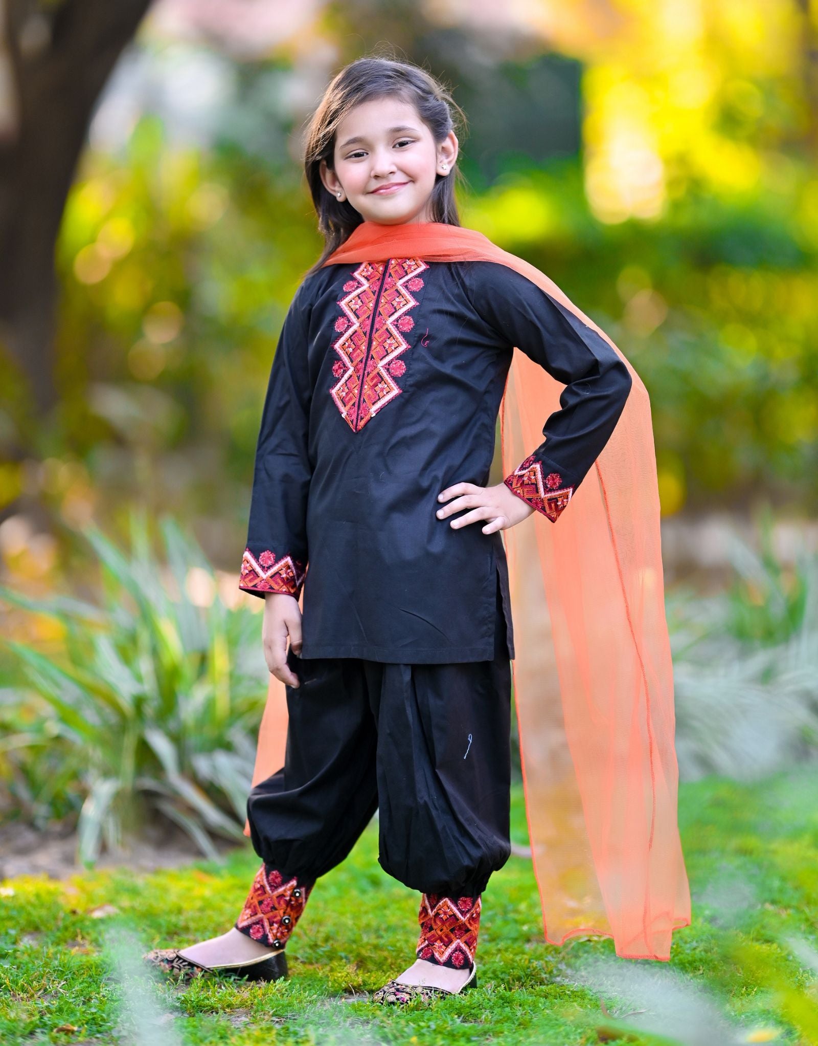 Embroidered Cotton 3 piece AD-01