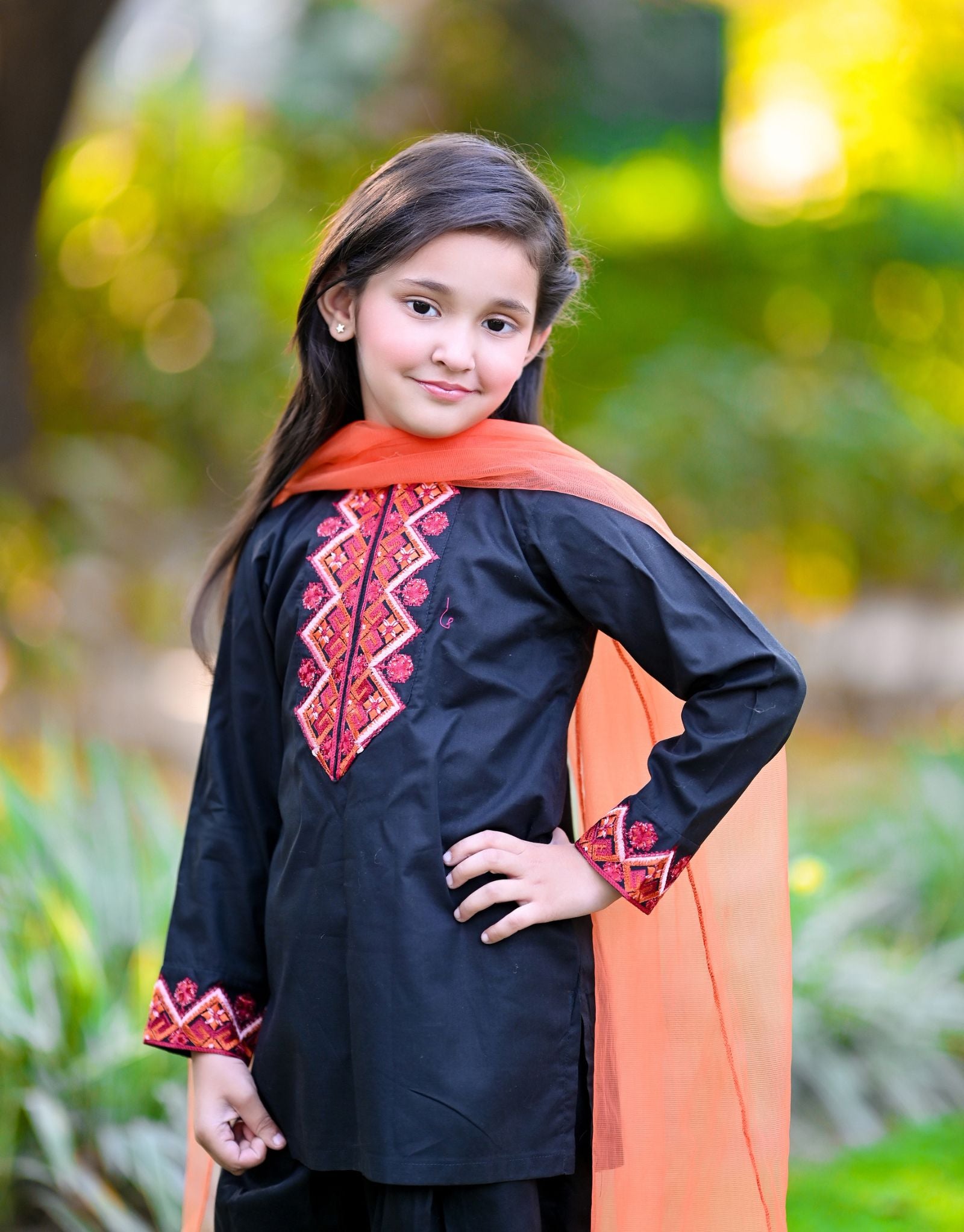 Embroidered Cotton 3 piece AD-01