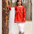 Embroidered Cotton 3 piece Noor N-1