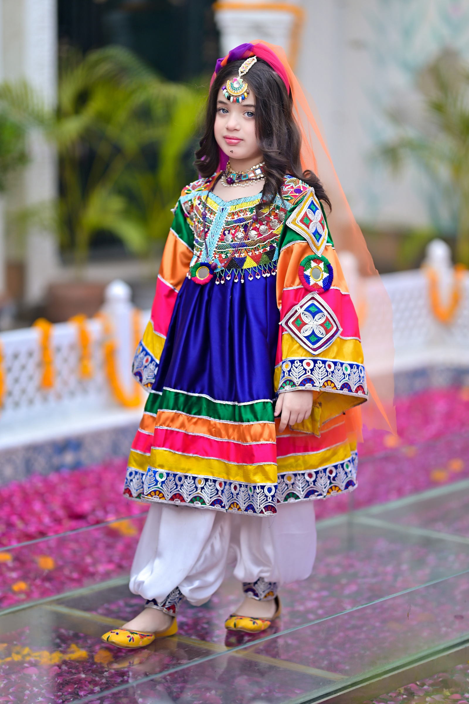 Afghan