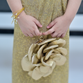 Premium Rose Pattern Golden Hand Bag